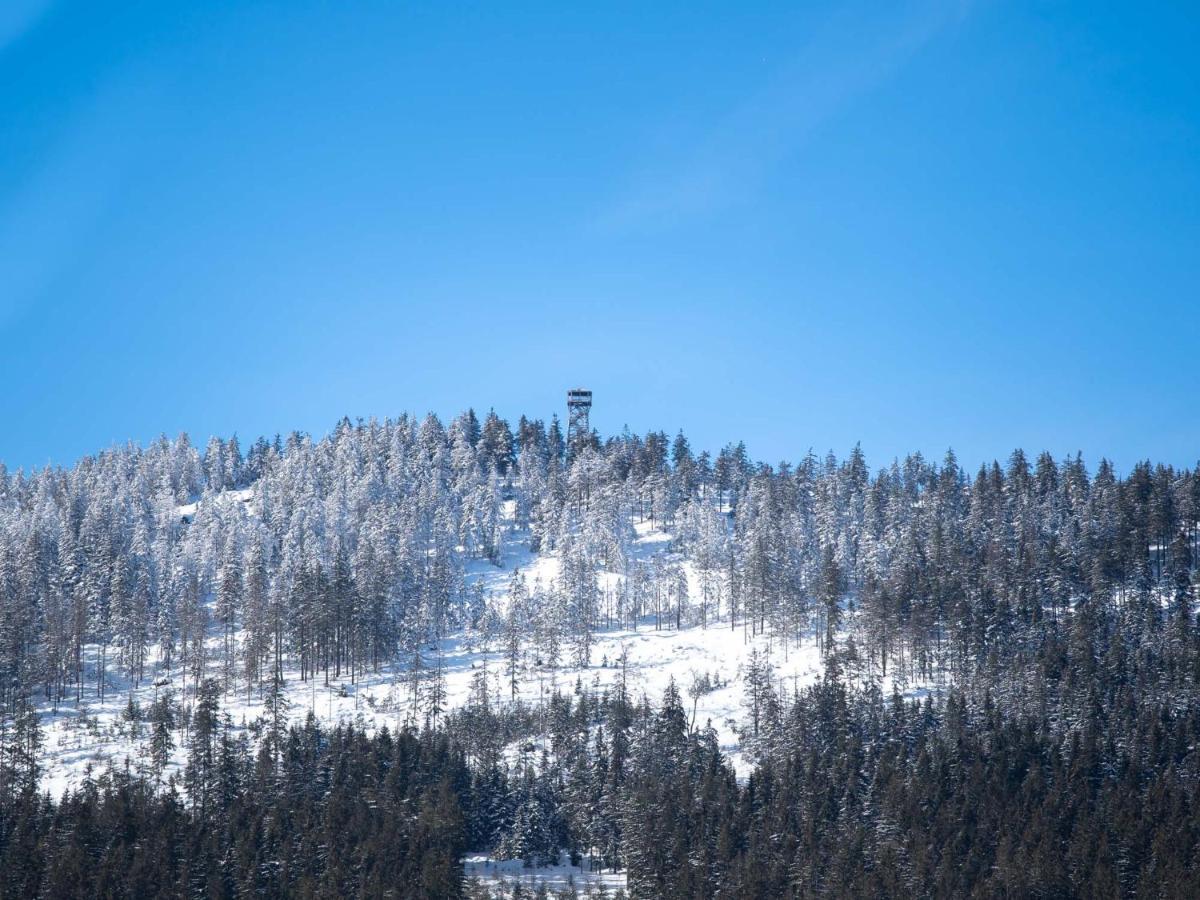 Treehous Sneznik S Wellness Hotel Dolni Morava Luaran gambar