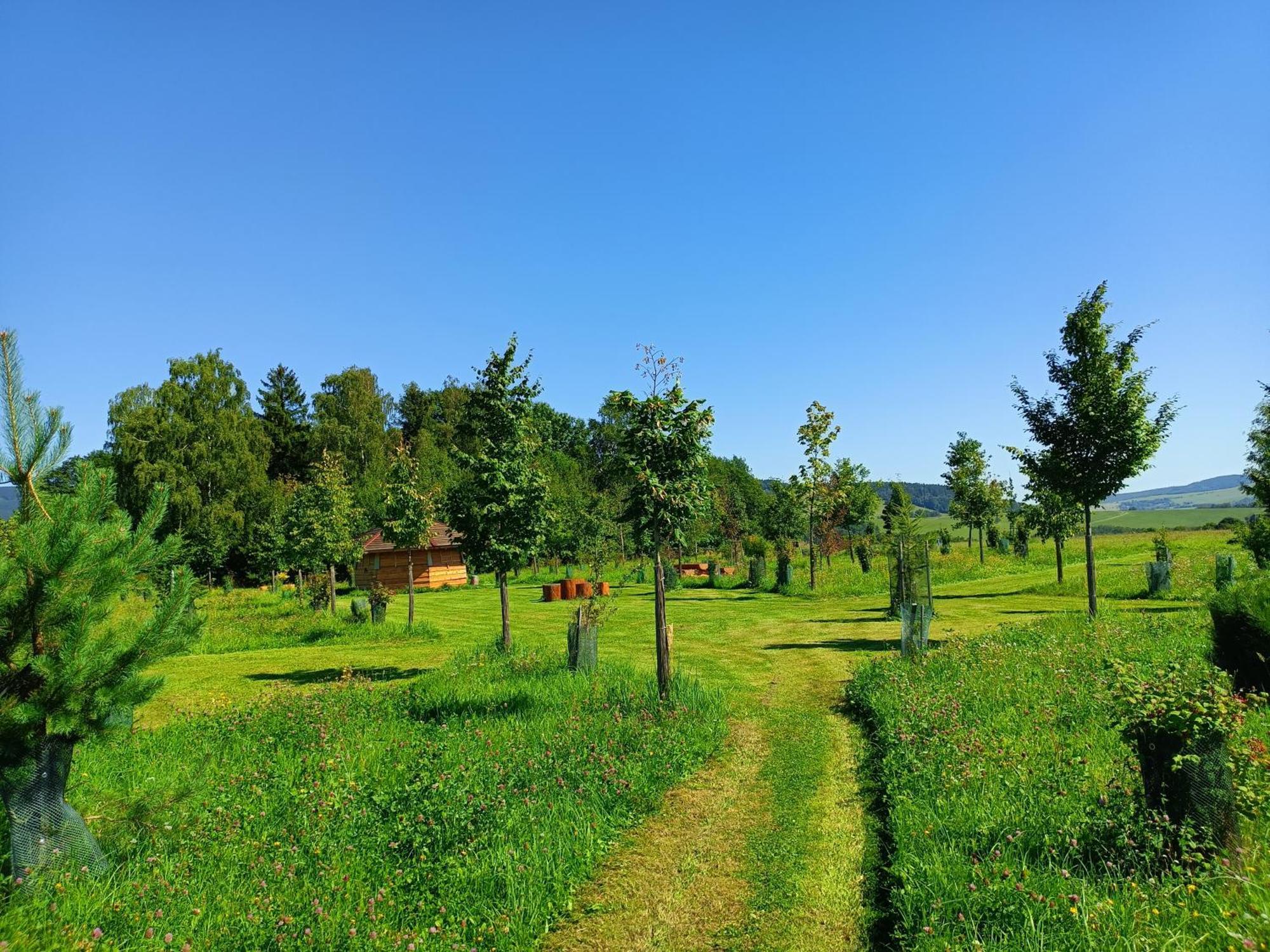 Treehous Sneznik S Wellness Hotel Dolni Morava Luaran gambar